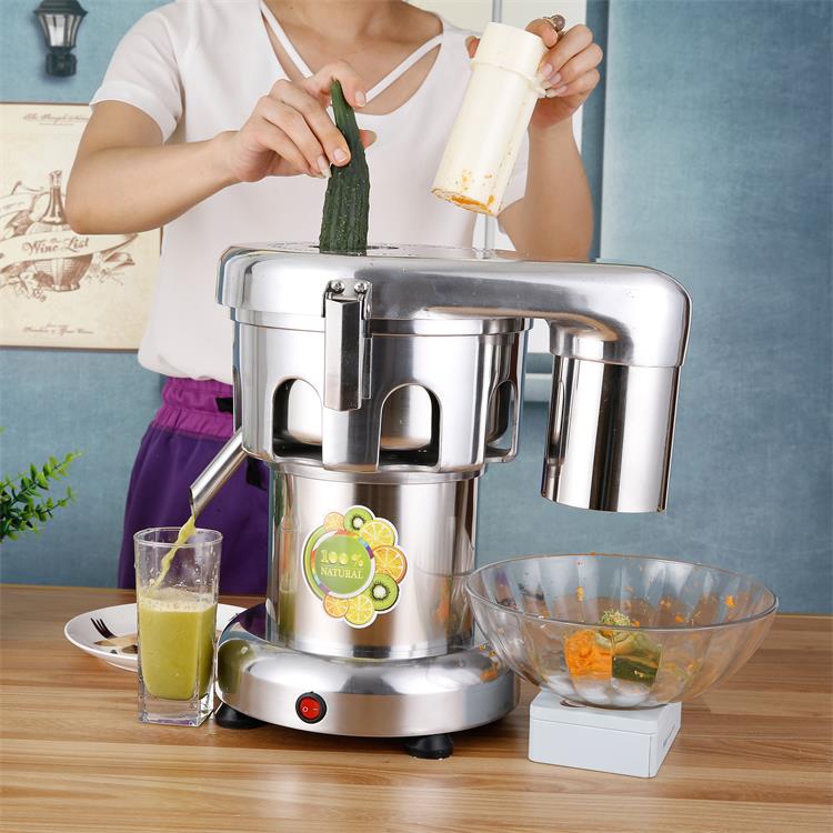 Industrail Fruit Juice Extractor